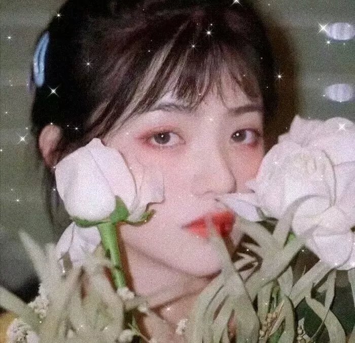 不得不爱第一季